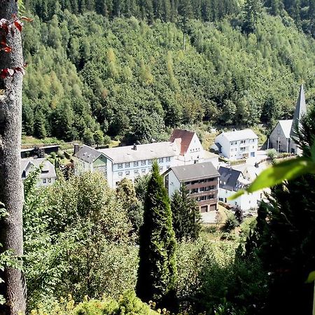 Gasthof Rodachtal Mit Gaestehaus Katharina Schwarzenbach am Wald Exterior foto