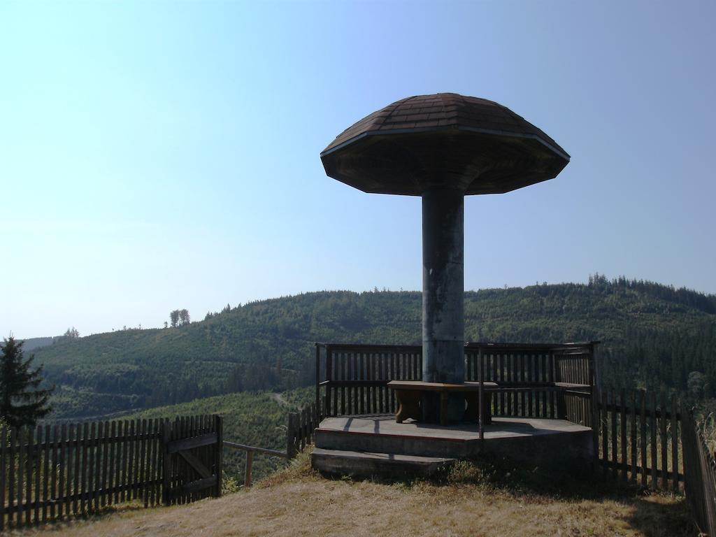 Gasthof Rodachtal Mit Gaestehaus Katharina Schwarzenbach am Wald Exterior foto